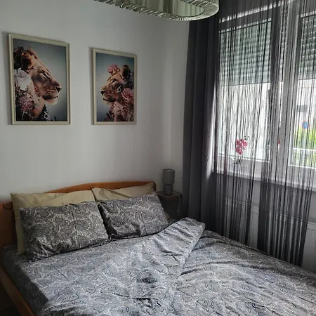 Dunja Апартаменты *