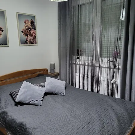 Dunja Апартаменты Баня-Ковиляча